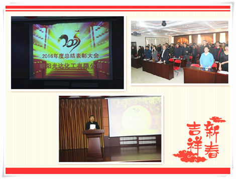 冰河冷媒科技（朝陽）有限公司2016年度總結(jié)表彰大會(huì)圓滿落