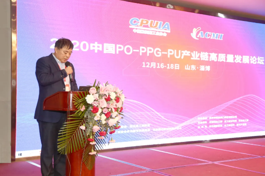 山東藍(lán)星東大有限公司總工程師、總經(jīng)理助理郭輝